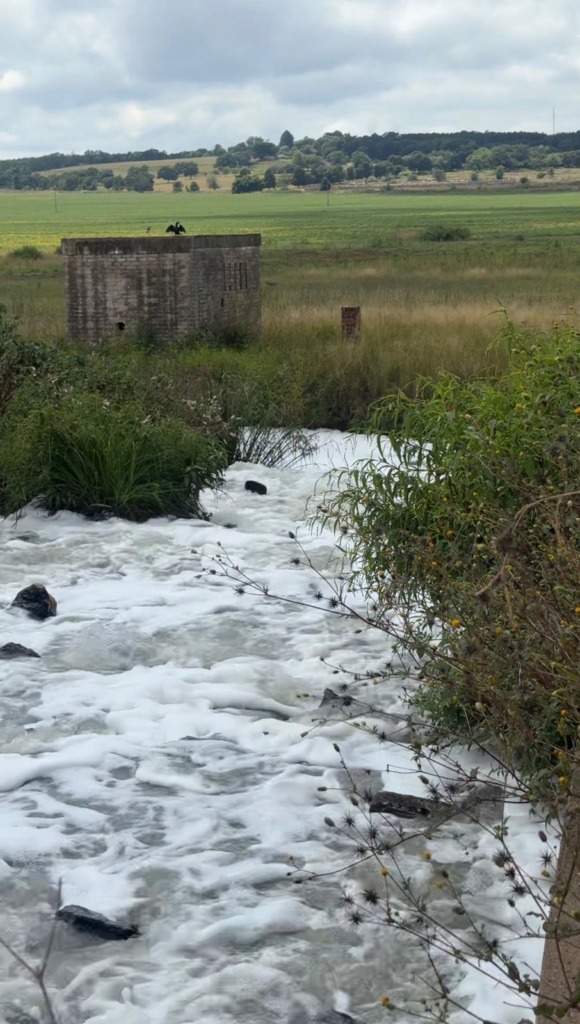 Die besoedeling by die Rietvleidam dra by tot die waterkrisis in Tshwane, sê die DA.