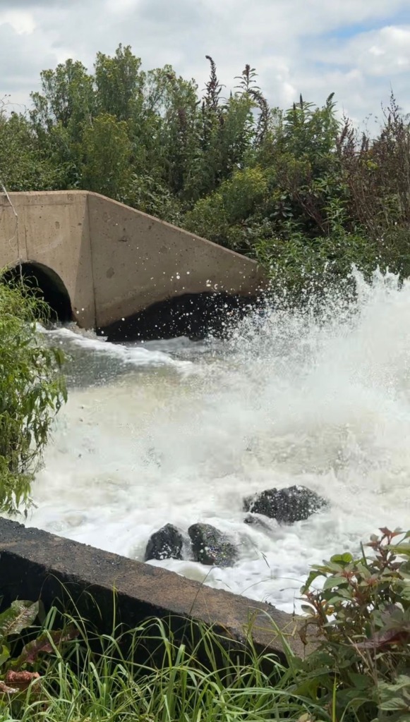 Die Rietvleidam se kwessies gaan veel langer vat om te herstel, sê Cilliers Brink, die DA se burgemeesterkandidaat vir Tshwane.