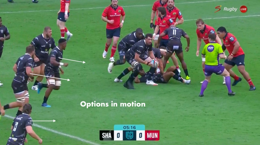 Oom Rugby se analise.