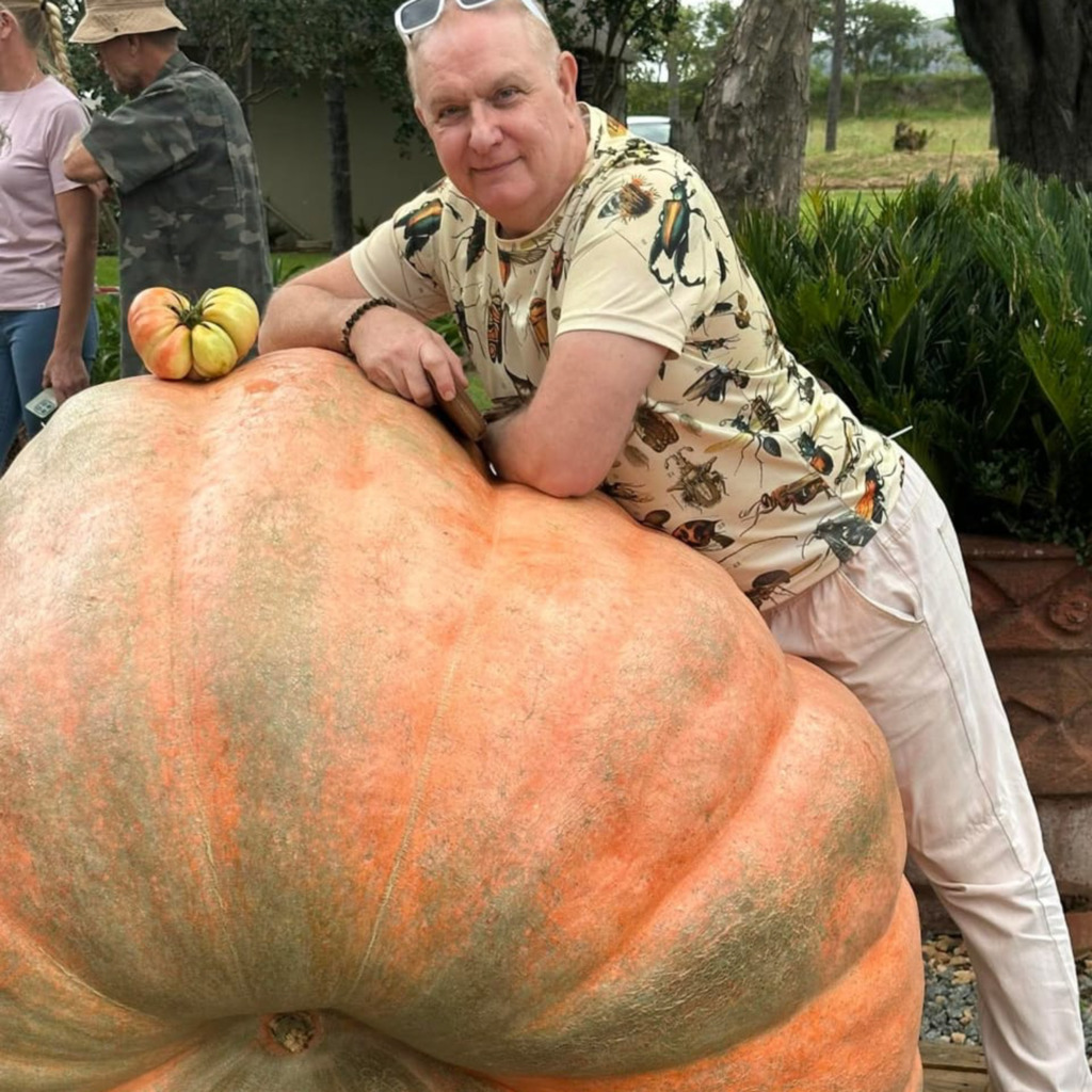 Willie Strauss, bekende sjef van Cullinan, by ’n bielie van 'n pampoen. Willie was een van die beoordelaars in die kos-afdeling van die Pampoenfees. Foto: Verskaf