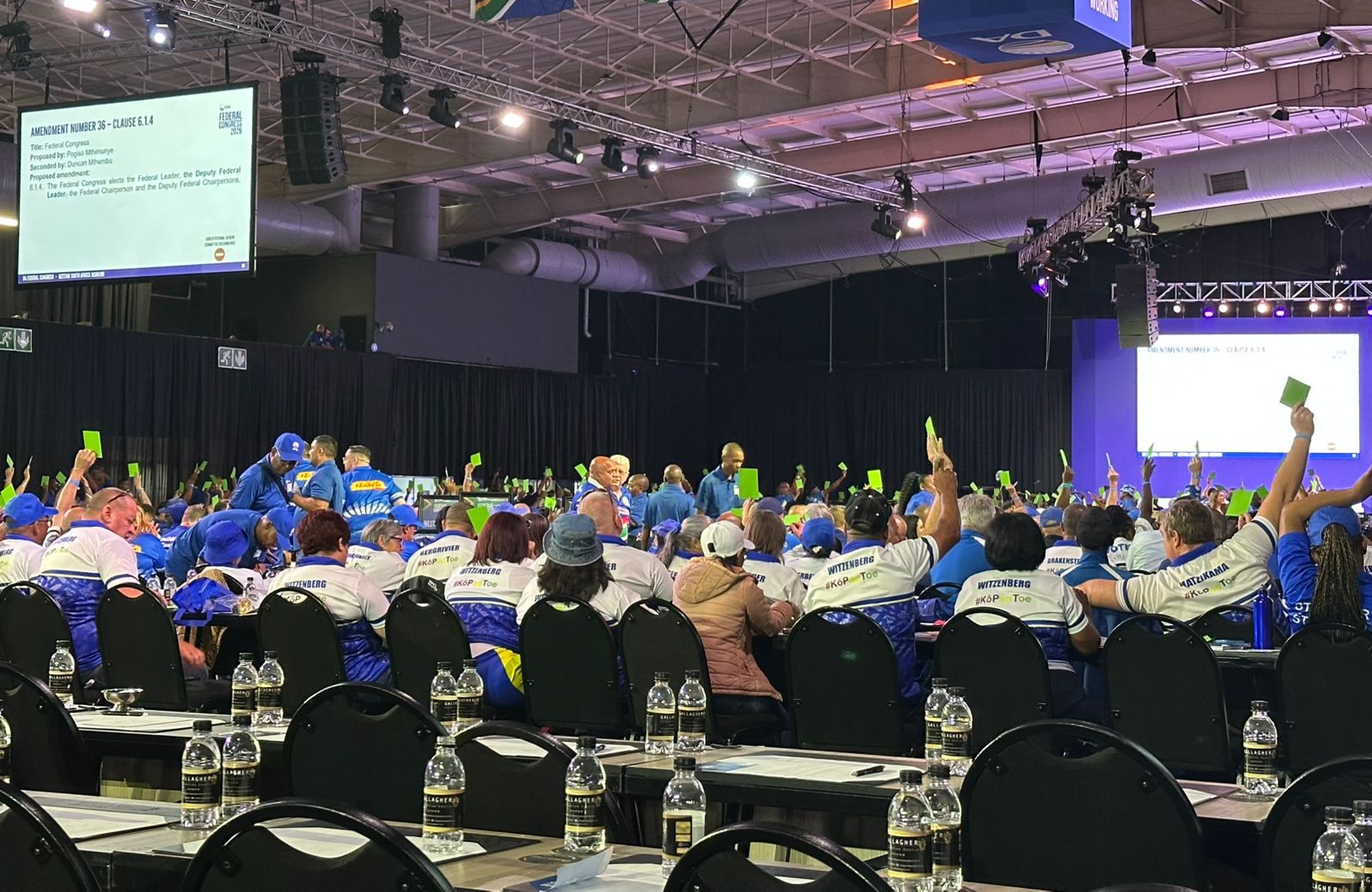 Die DA het Saterdagoggend gestem om ’n adjunkleier-rol vir die DA te skep.