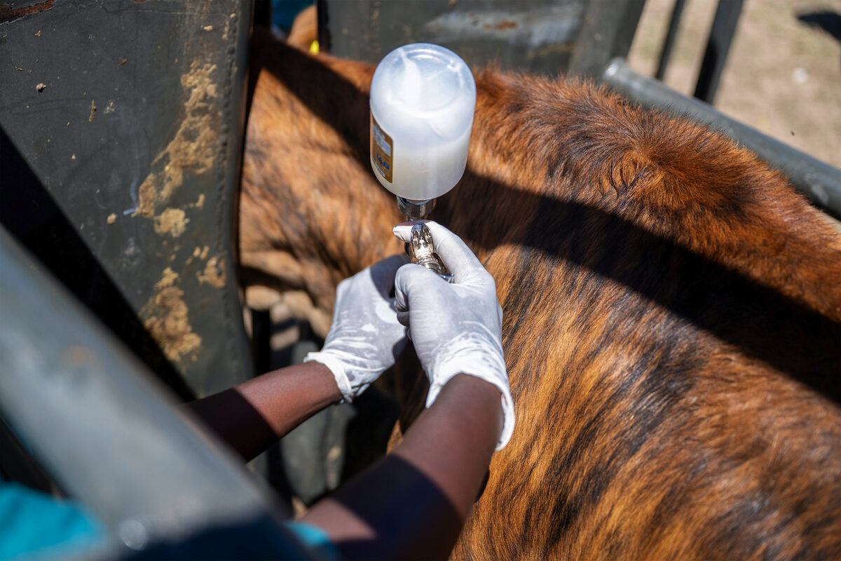 Bek-en-klouseer-krisis: Hof se spertyd geïgnoreer