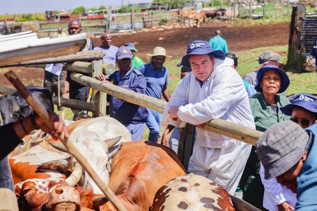 John Steenhuisen in Ekuhuleni vroeër vanjaar.