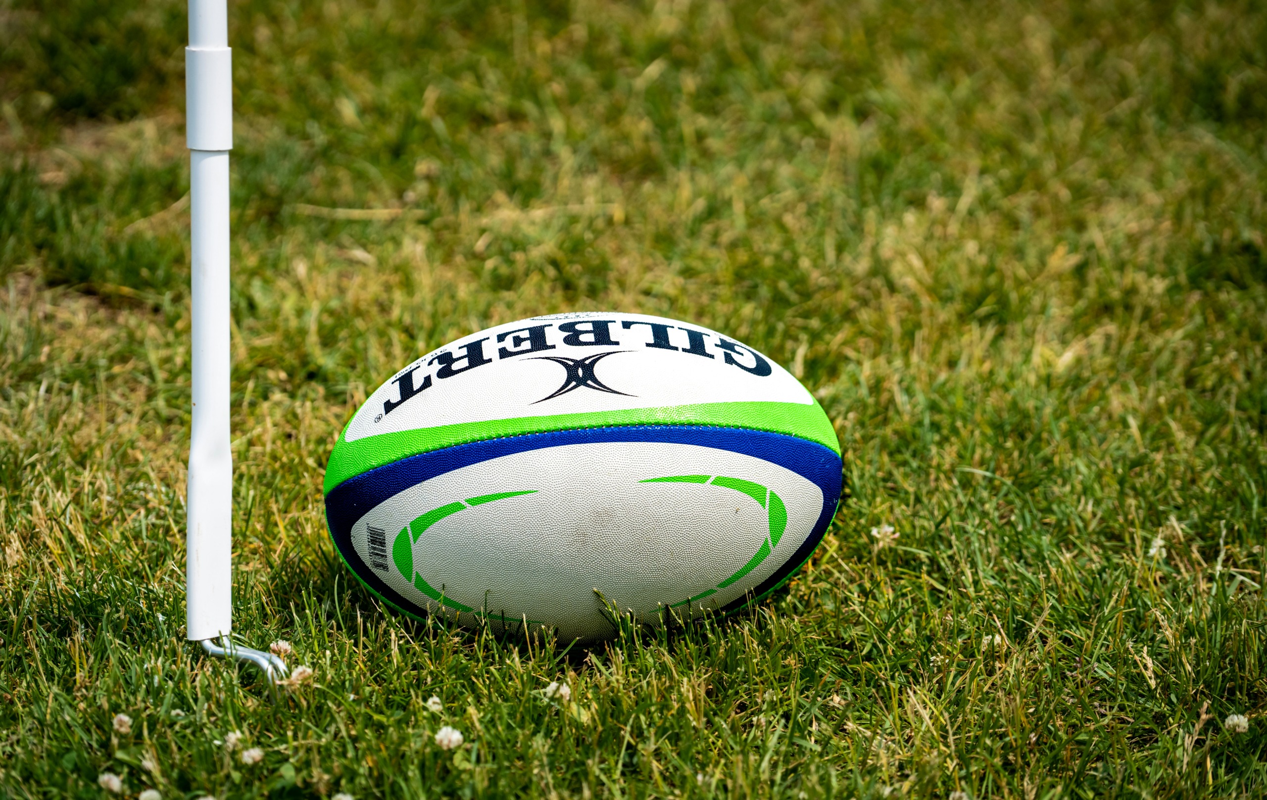 Skolerugby.