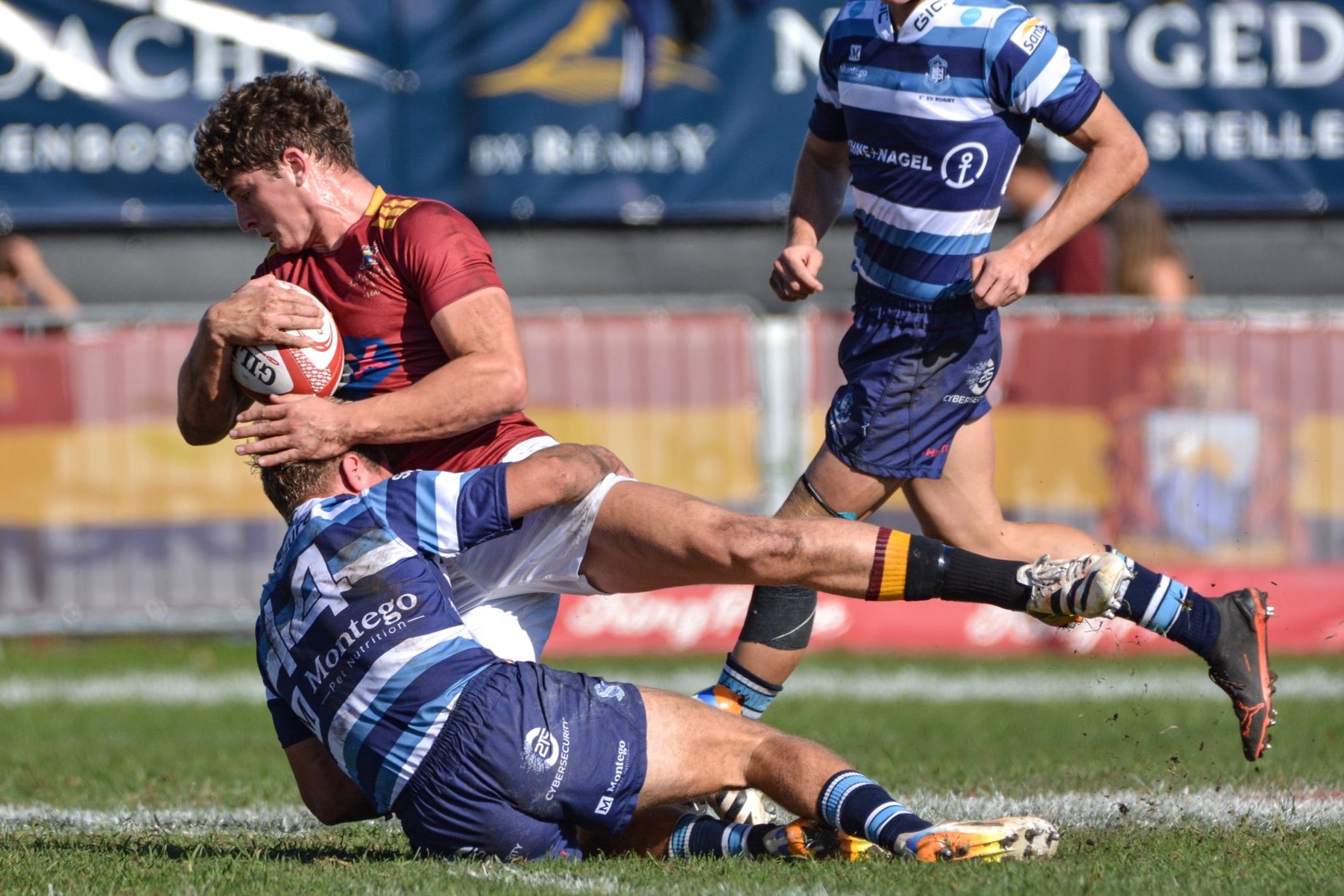 Paul Roos het Saterdag Boishaai met 28-22 geklop in ’n hoë-intensiteit King Price Derby-reeks in Stellenbosch. Foto: Poppie Terblanche