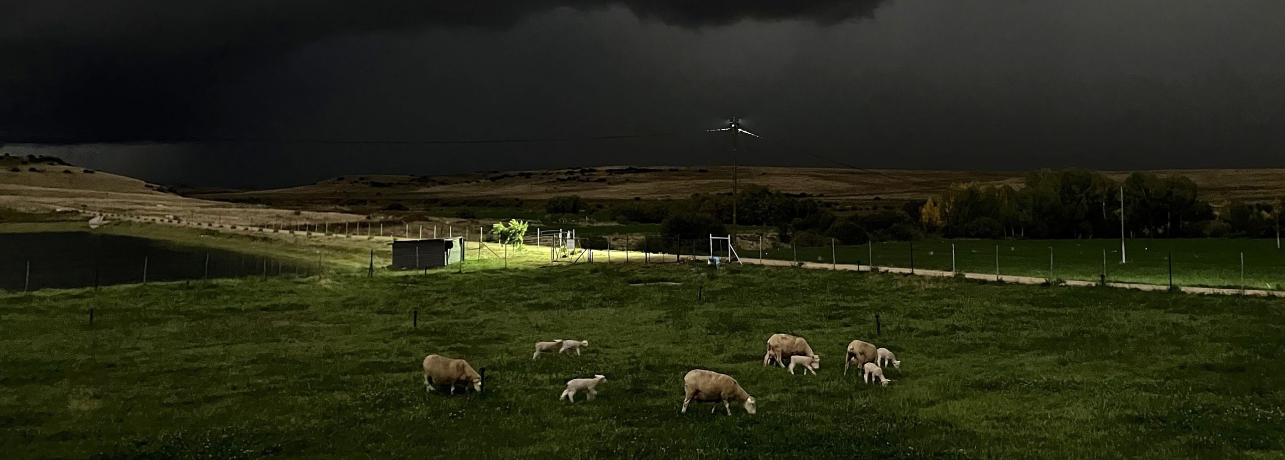 ’n Aantal Döhnemerino-ooie, elk met ’n drieling, wei verlede maand oënskynlik ongeërg in ’n kampie teenaan die opstal terwyl ’n onheilspellende swart wolk van links oor ’n plaas in die Venterstad-distrik in die Oos-Kaap inbeweeg. ’n Skerp streep lig by die dam verleen ’n warm kontras met die dreigende donker wolk wat die toneel oorheers.