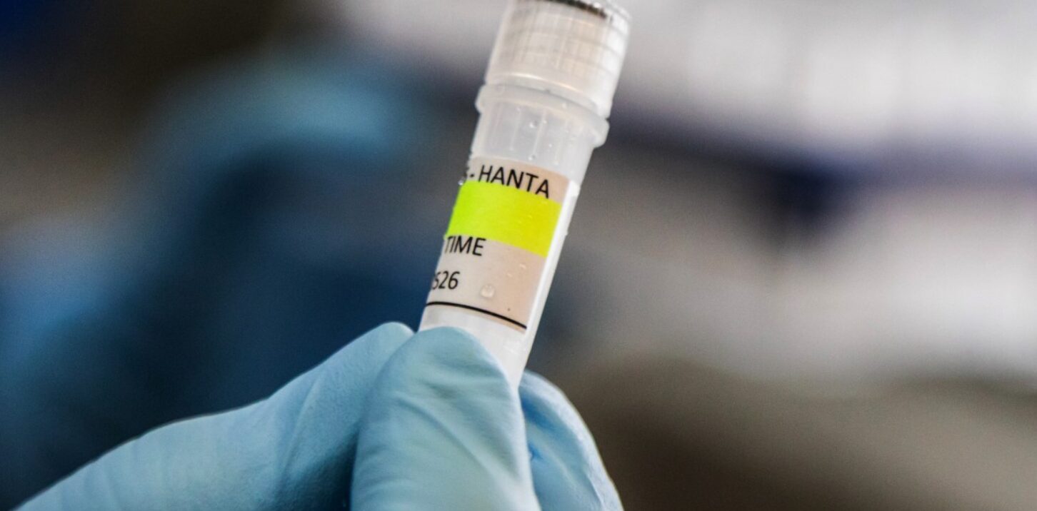 ’n Resies om ’n uitbreking van hantavirus hok te slaan, speel homself tans uit.