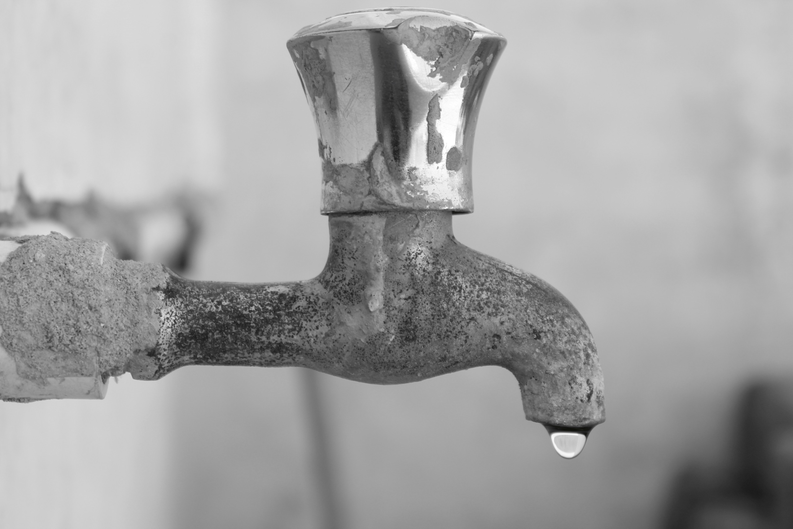 Water.