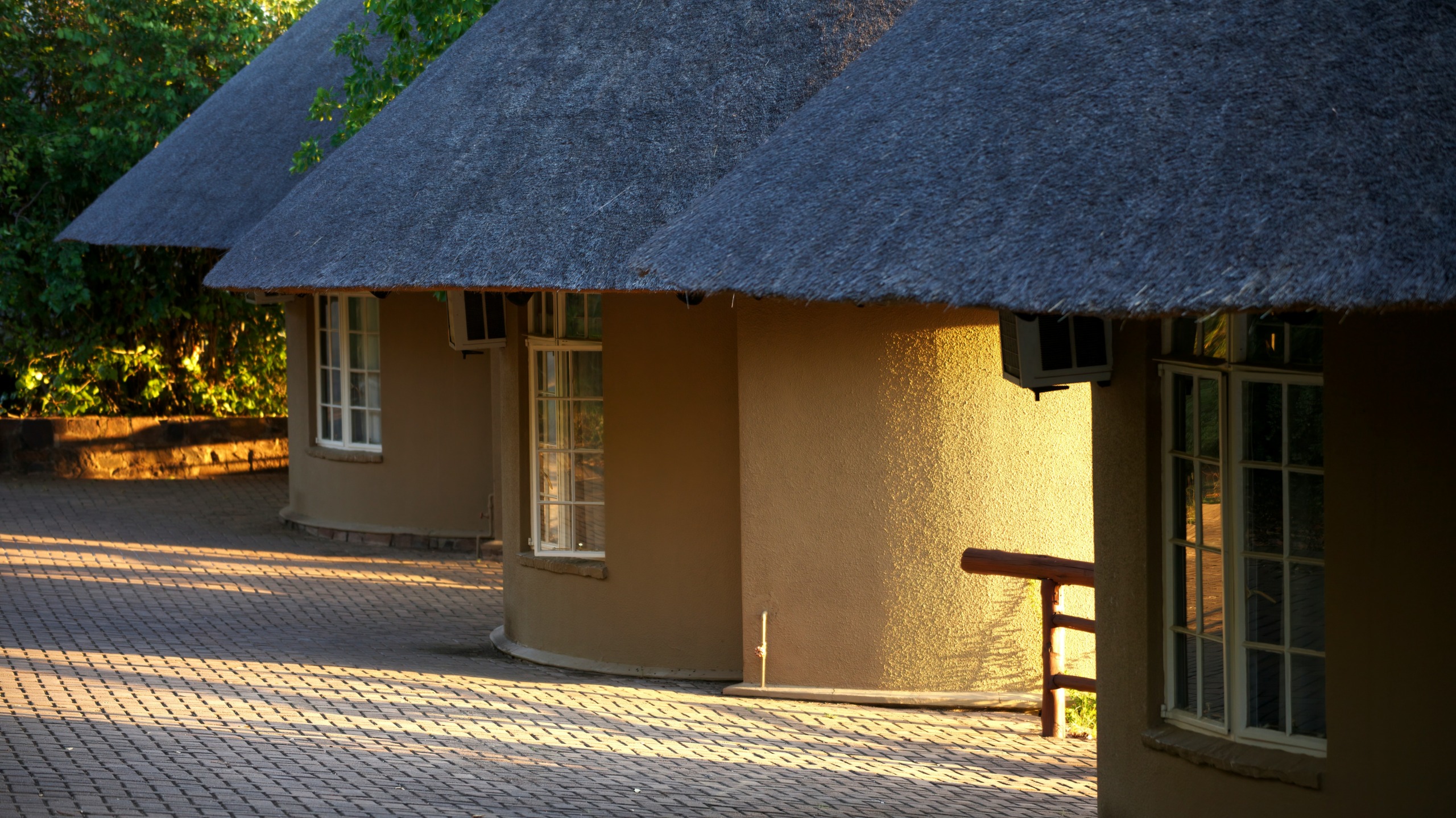 Die polisie in Limpopo het ’n grootskaalse soektog geloods nadat twee toeriste in die Krugerwildtuin dood aangetref is. Foto: Unsplash