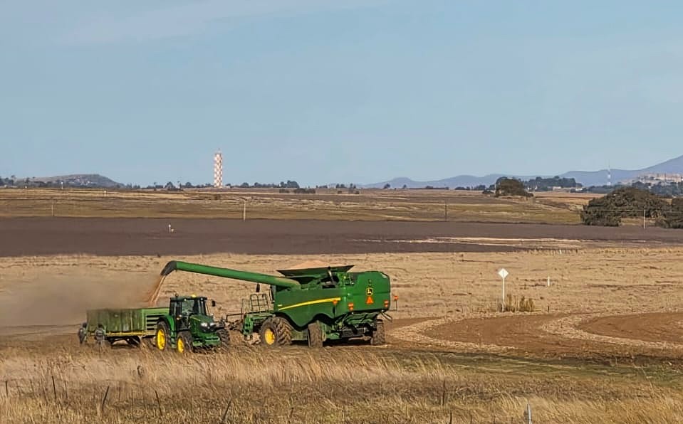 Produsente behoort reeds te beplan vir die komende somerproduksieseisoen aan te pas.