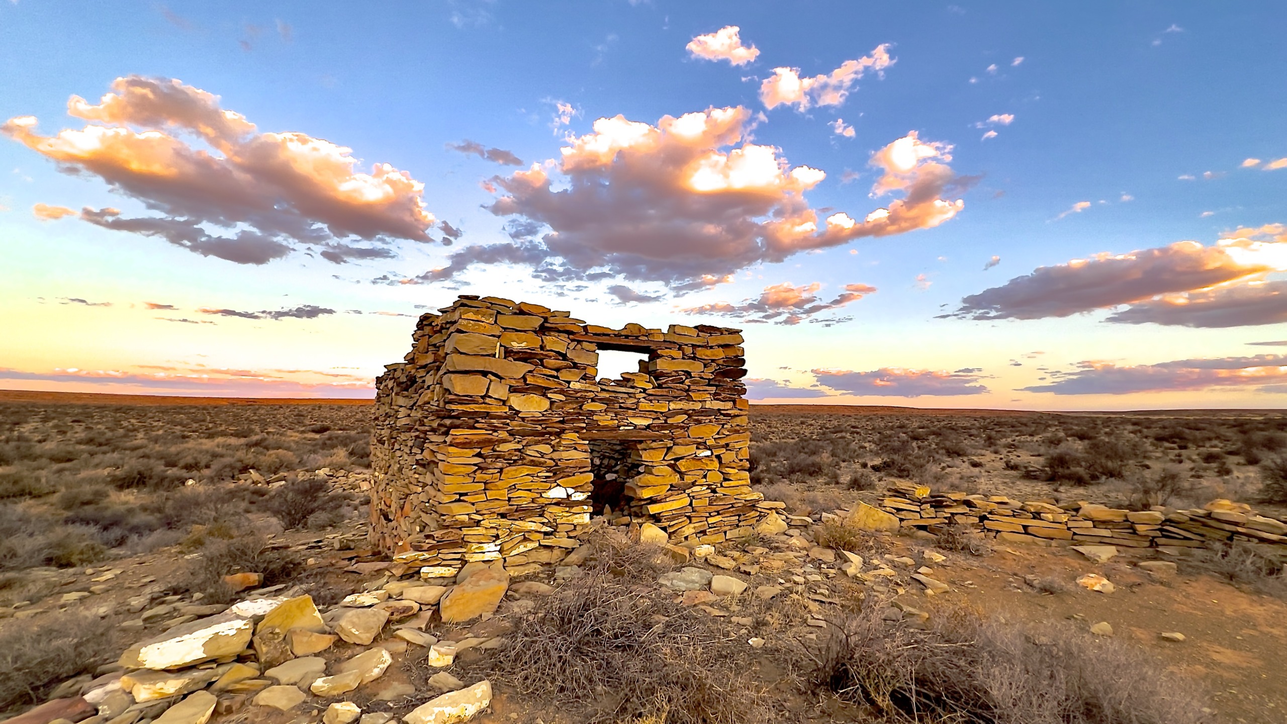 Karoo-kiekies