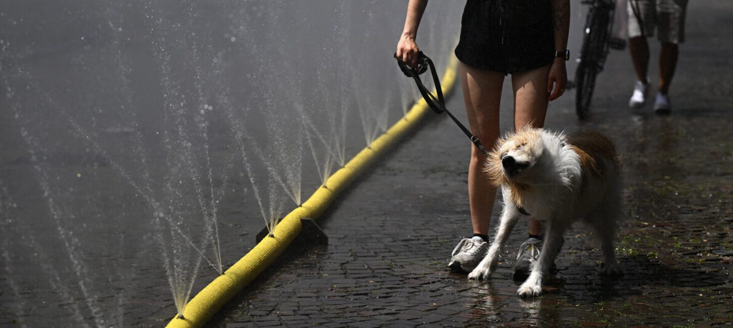 ’n Vrou stap met haar hond deur waterslange in Keulen in die weste van Duitsland.