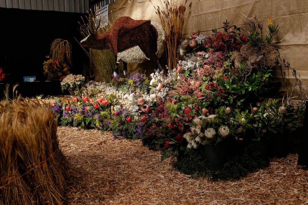 Blomme-stal by Nampo Kaap 2025.